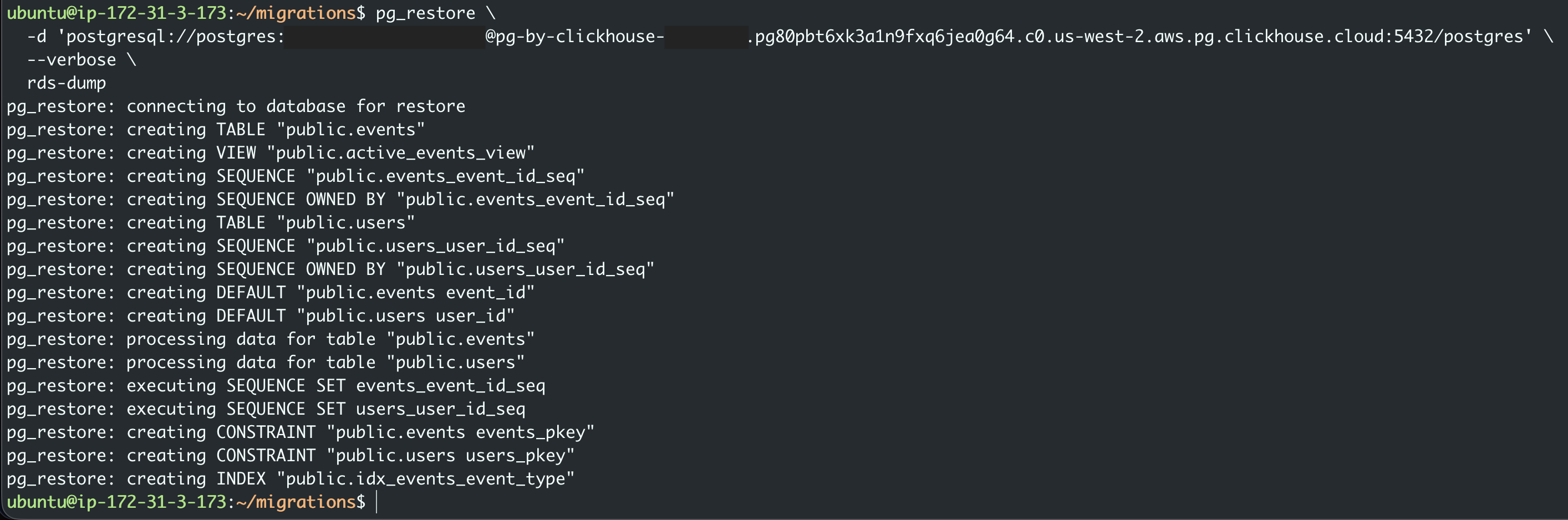 pg_restore Command Execution
